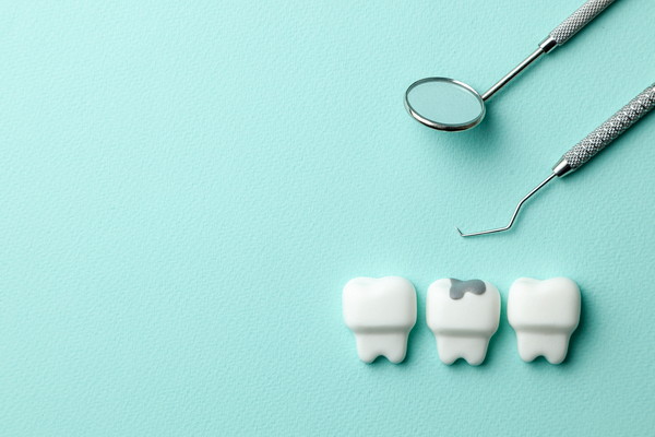健康な歯と虫歯の歯の模型