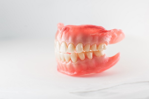 歯と歯茎の模型